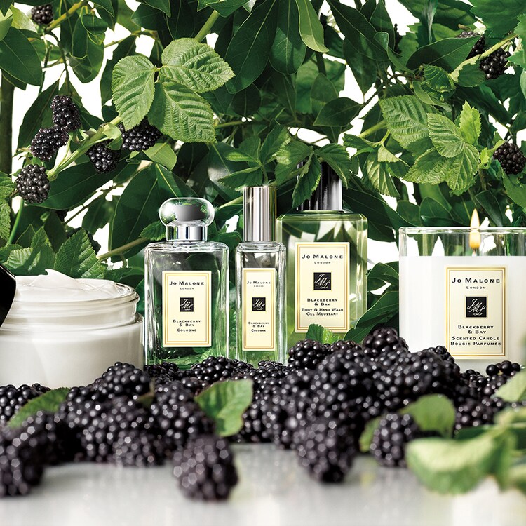 Blackberry & Bay - Cologne
