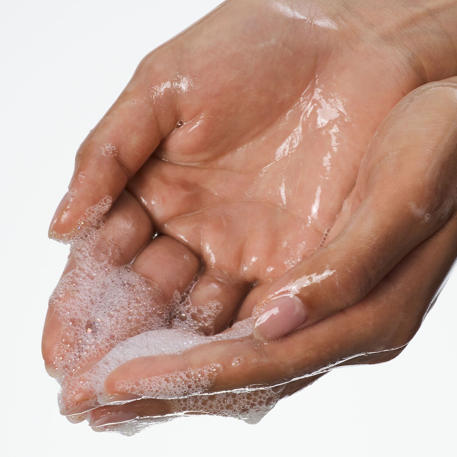 Palm Wild Hand Wash