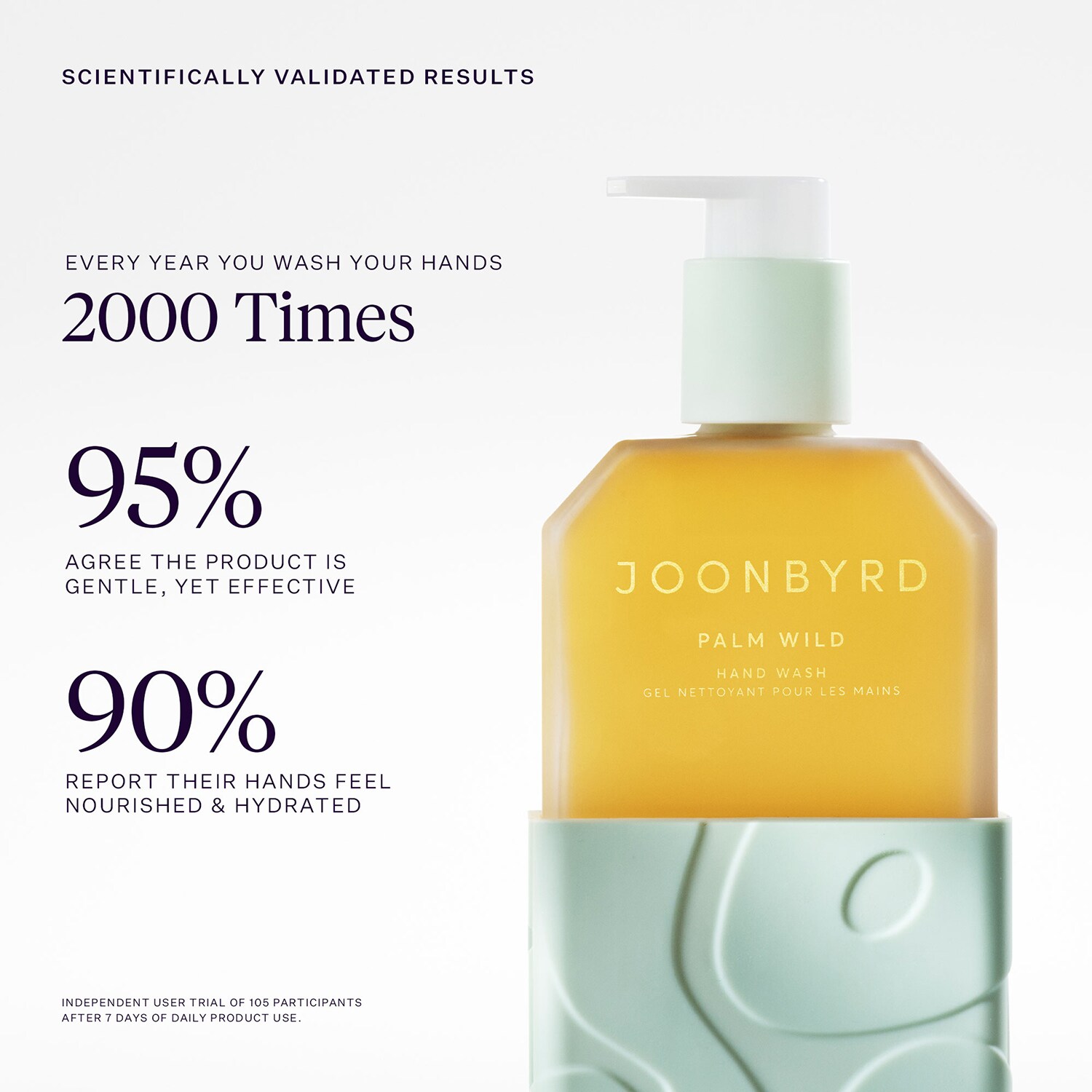 Palm Wild Hand Wash