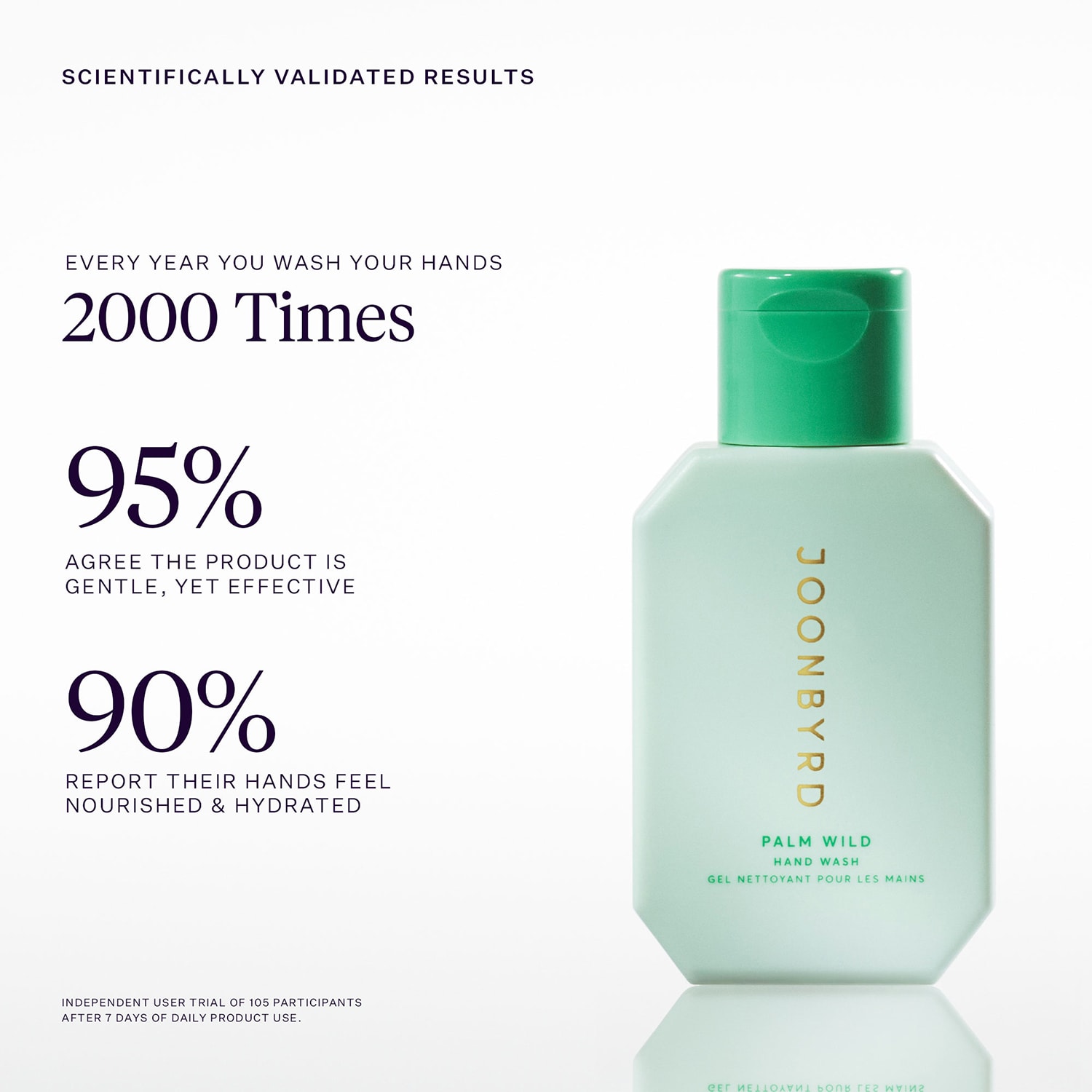 Palm Wild Hand Wash