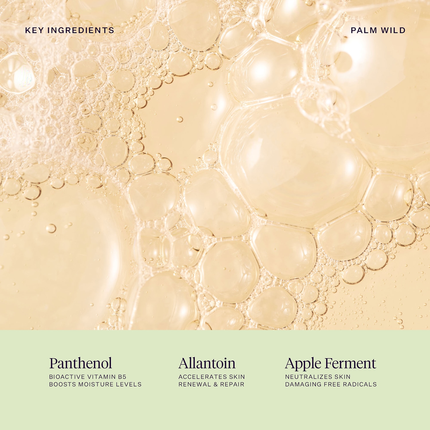 Palm Wild Hand Wash