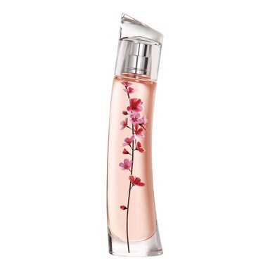 Descubre el producto