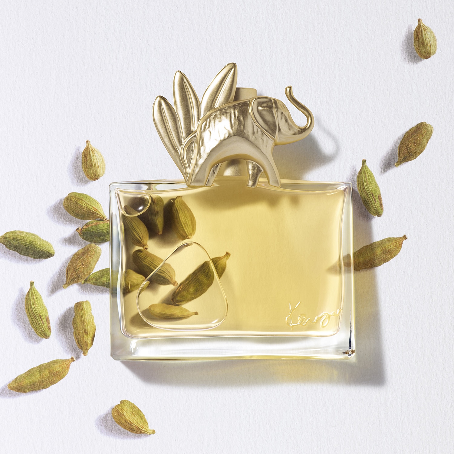 Kenzo Jungle - Eau de Parfum | Kenzo ≡ SEPHORA