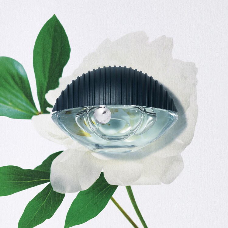 World Eau de Parfum