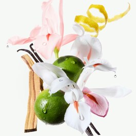 Gloss Absolu Masque Cr&egrave;me Hydra-Glaze &scaron;ampon za gustu kovrčavu kosu