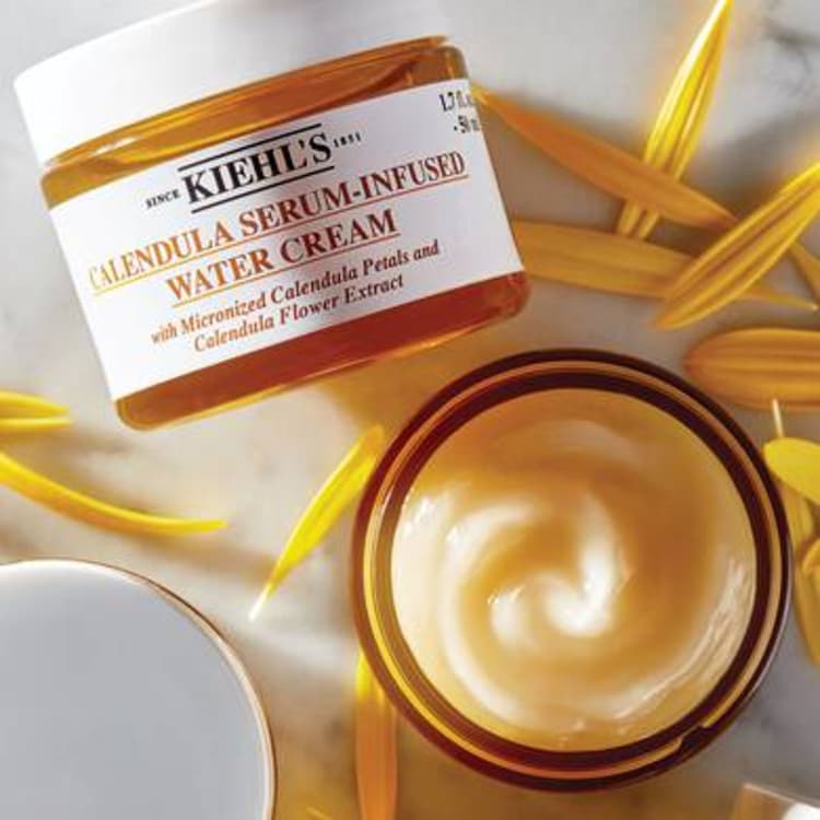 Gel Crème Hydratante au Calendula - Calendula Serum-Infused Water Cream