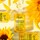 Daily Reviving  Concentrate - Sérum Facial 