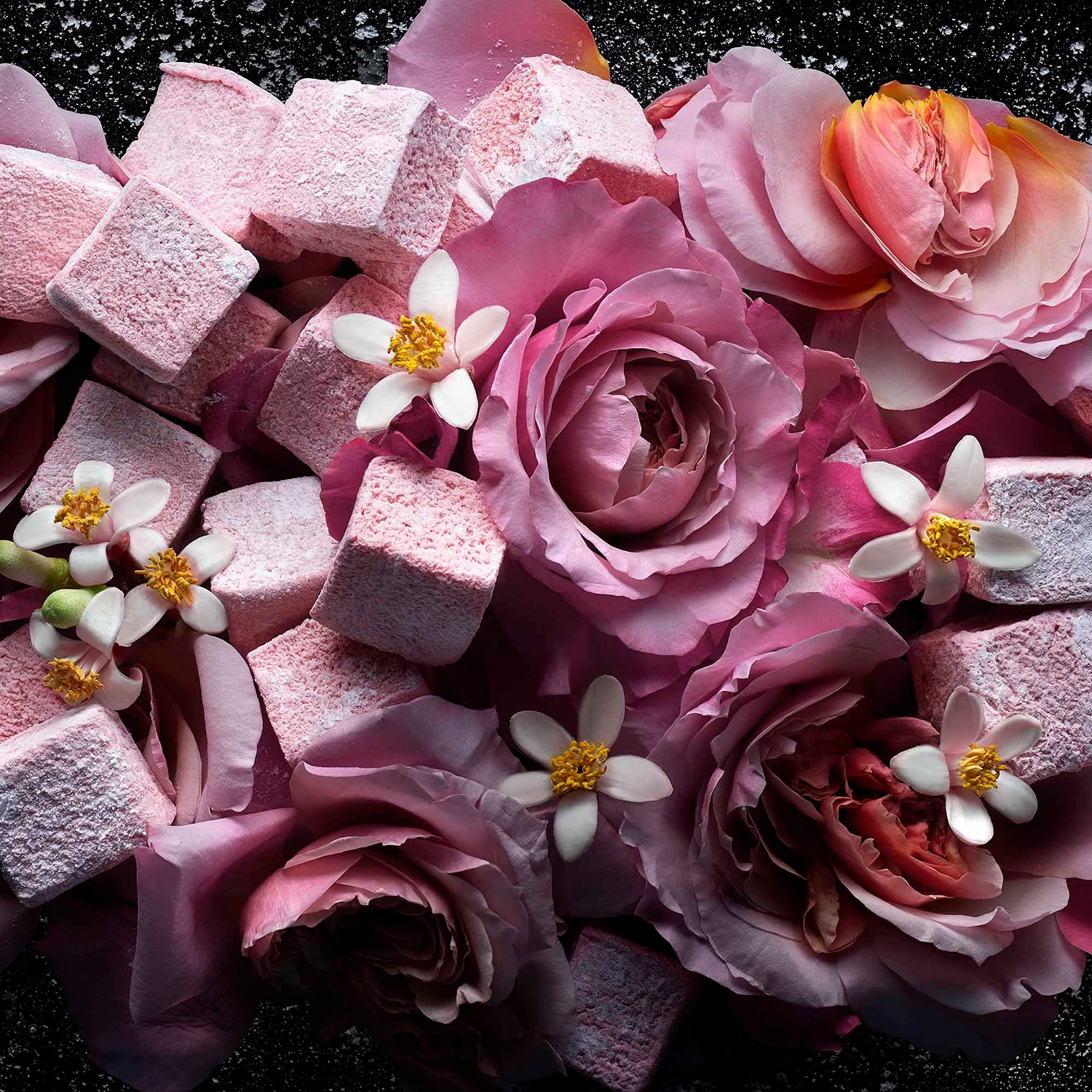Love, Don't be Shy Eau De Parfum
