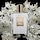 Good Girl Gone Bad - Eau de Parfum