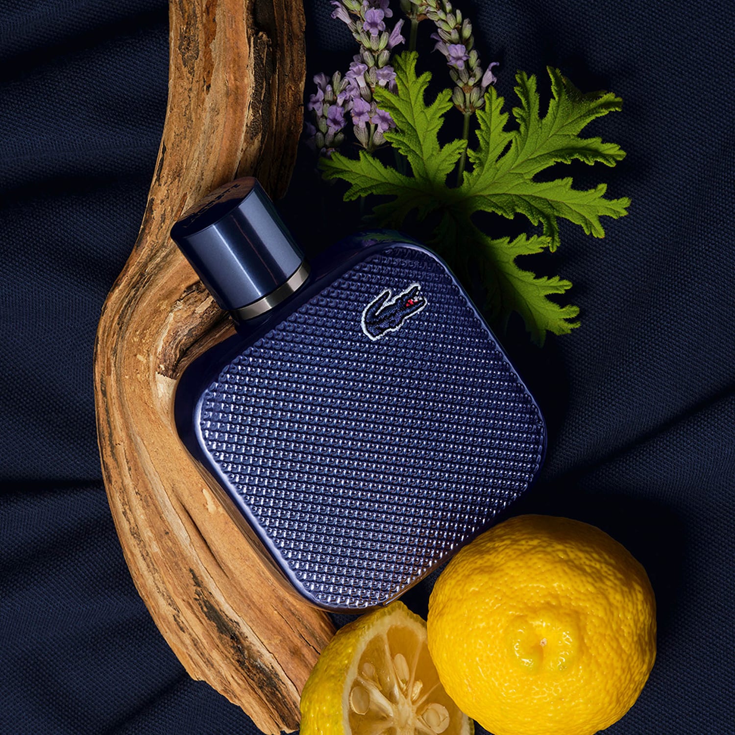 L1212 Blue - Apa de parfum | Lacoste ≡ SEPHORA