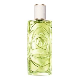&Ocirc;ff Now - Eau de Toilette drvenasto-aromatični miris