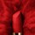 L´Absolu Rouge Drama Matte  - Matná rtěnka
