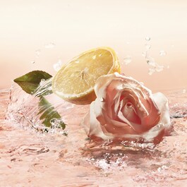 Idole - l'Eau de Toilette
