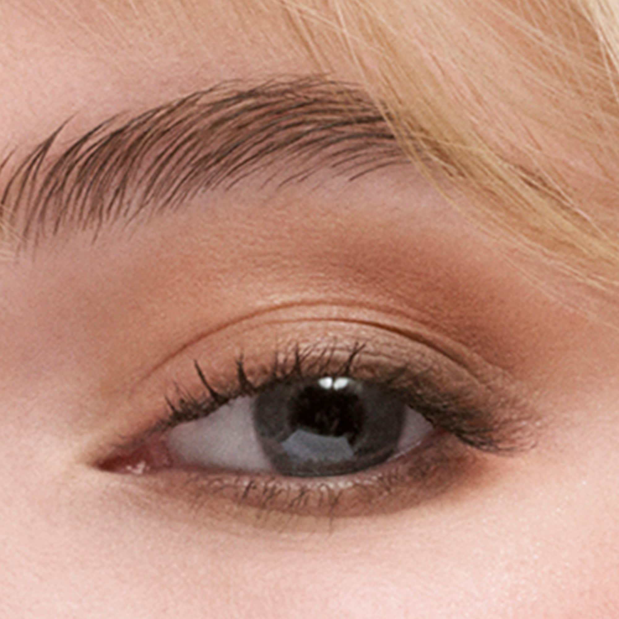 The Essential Eyeshadow Quad 4g