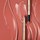 Pure Color - Gloss Ultra-Brillant Click Stick