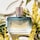 Bronze Goddess Nuit Eau De Parfum 