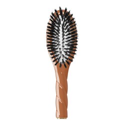 La Petite Brosse N°1 L'universelle – En poils de Sanglier - Brosse de soin