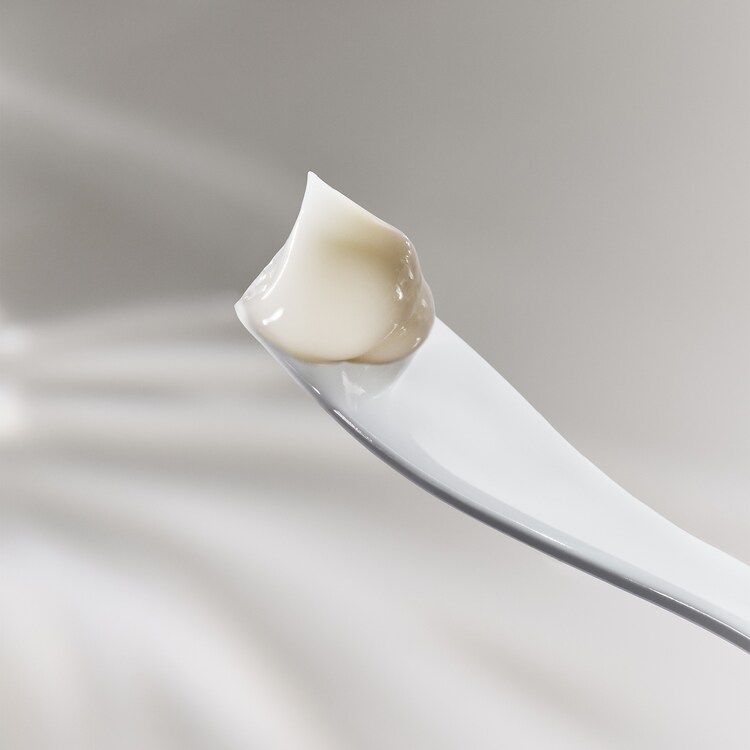 The Moisturizing Fresh Cream - Travelsize