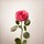 Just Give Me Roses - Parfémová voda