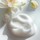 Mousse au Lotus Volumatrice