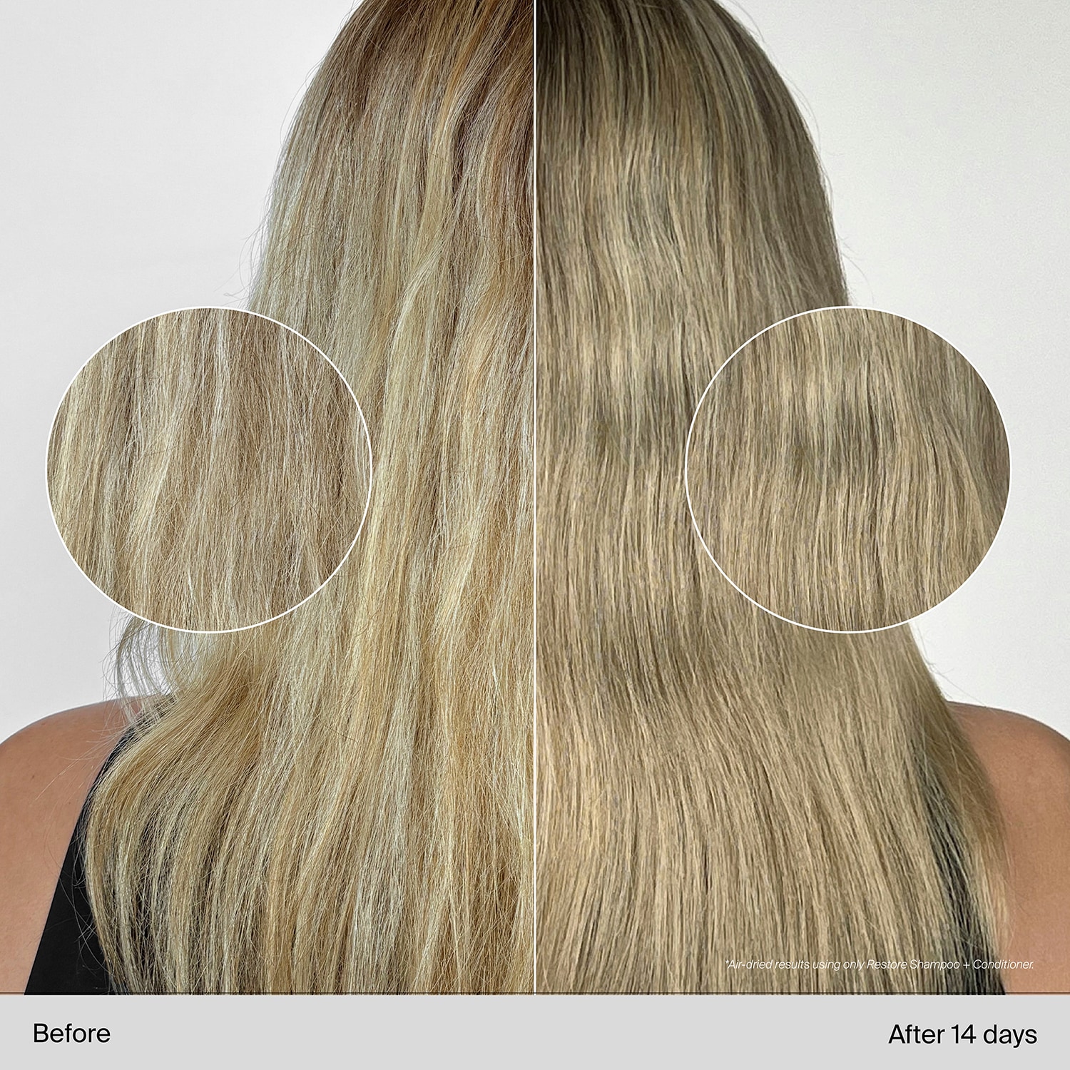 Restore Shampoo