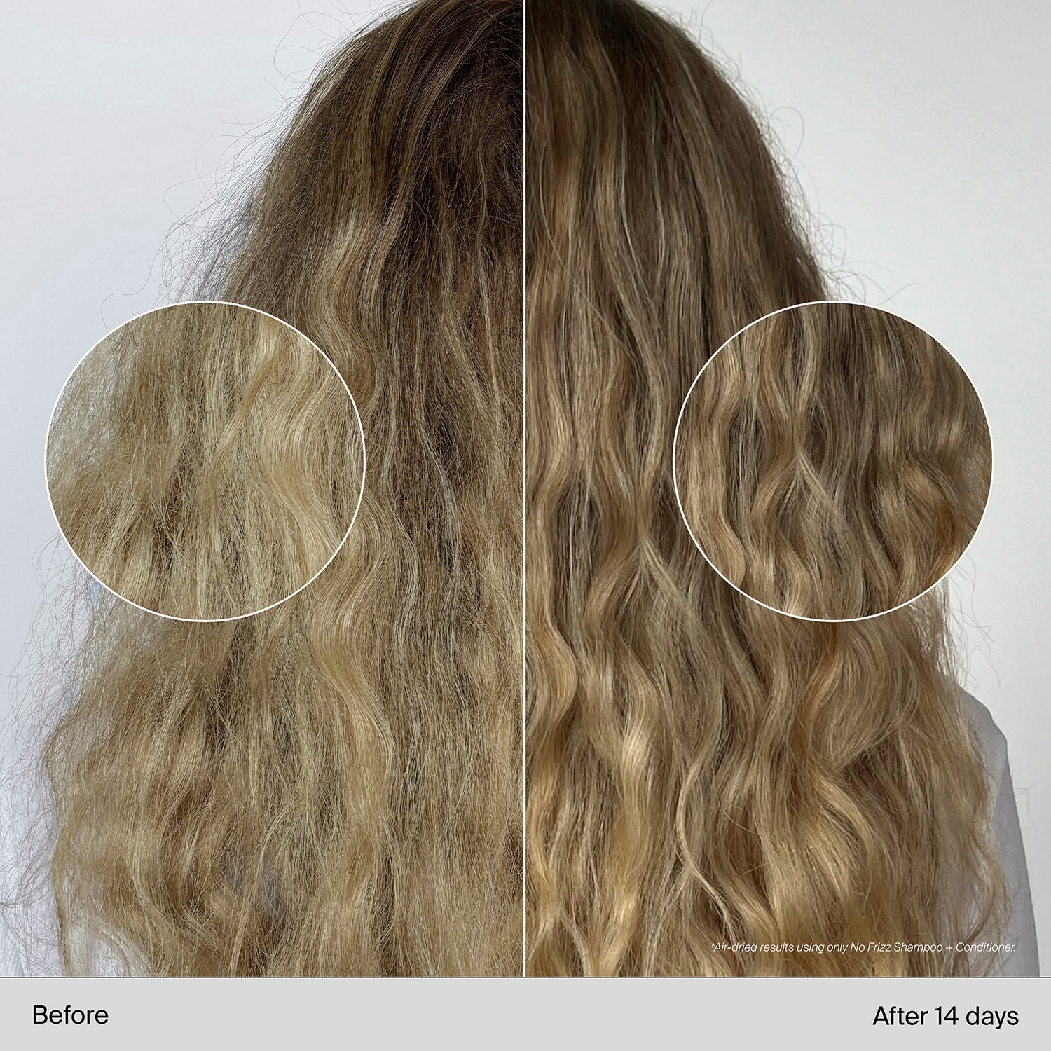 No Frizz Shampoo