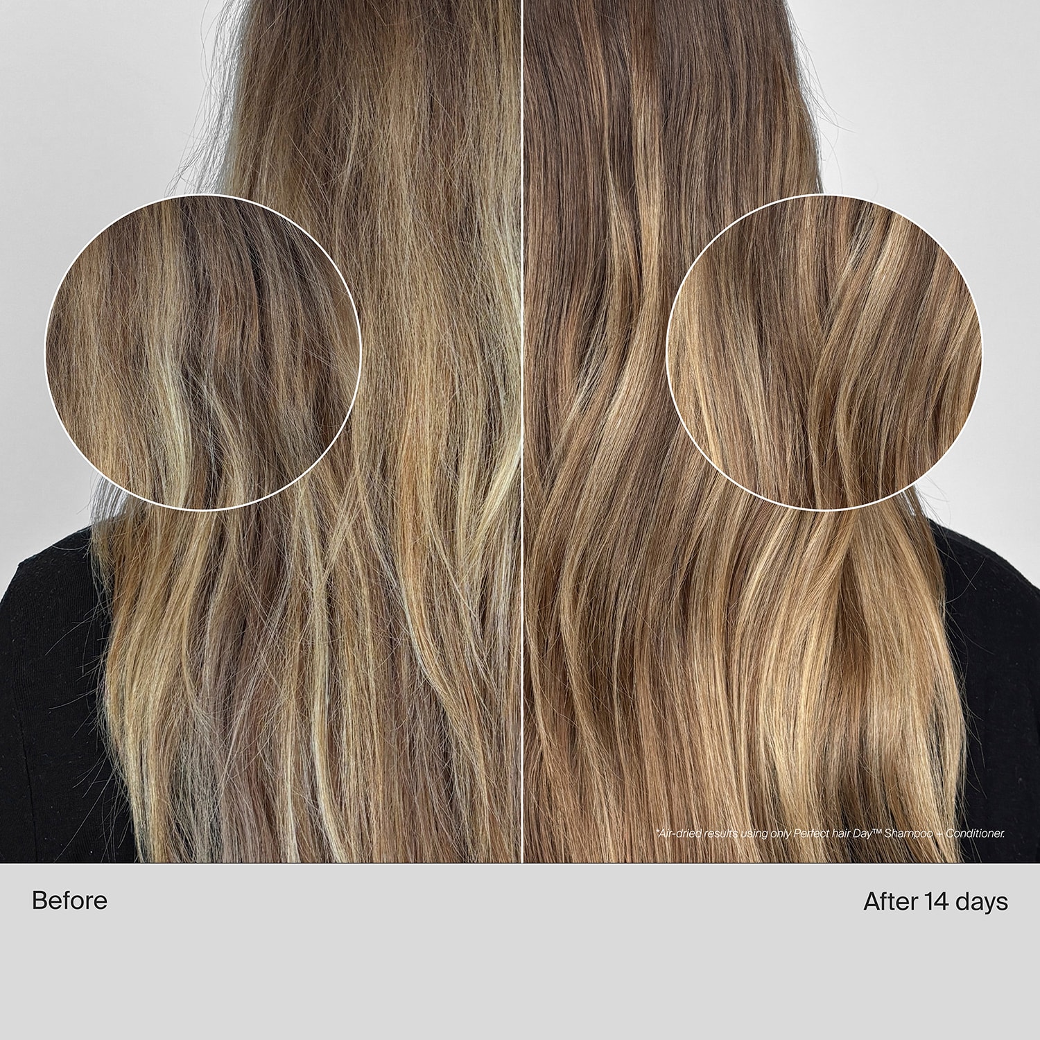 Perfect Hair Day Shampoo