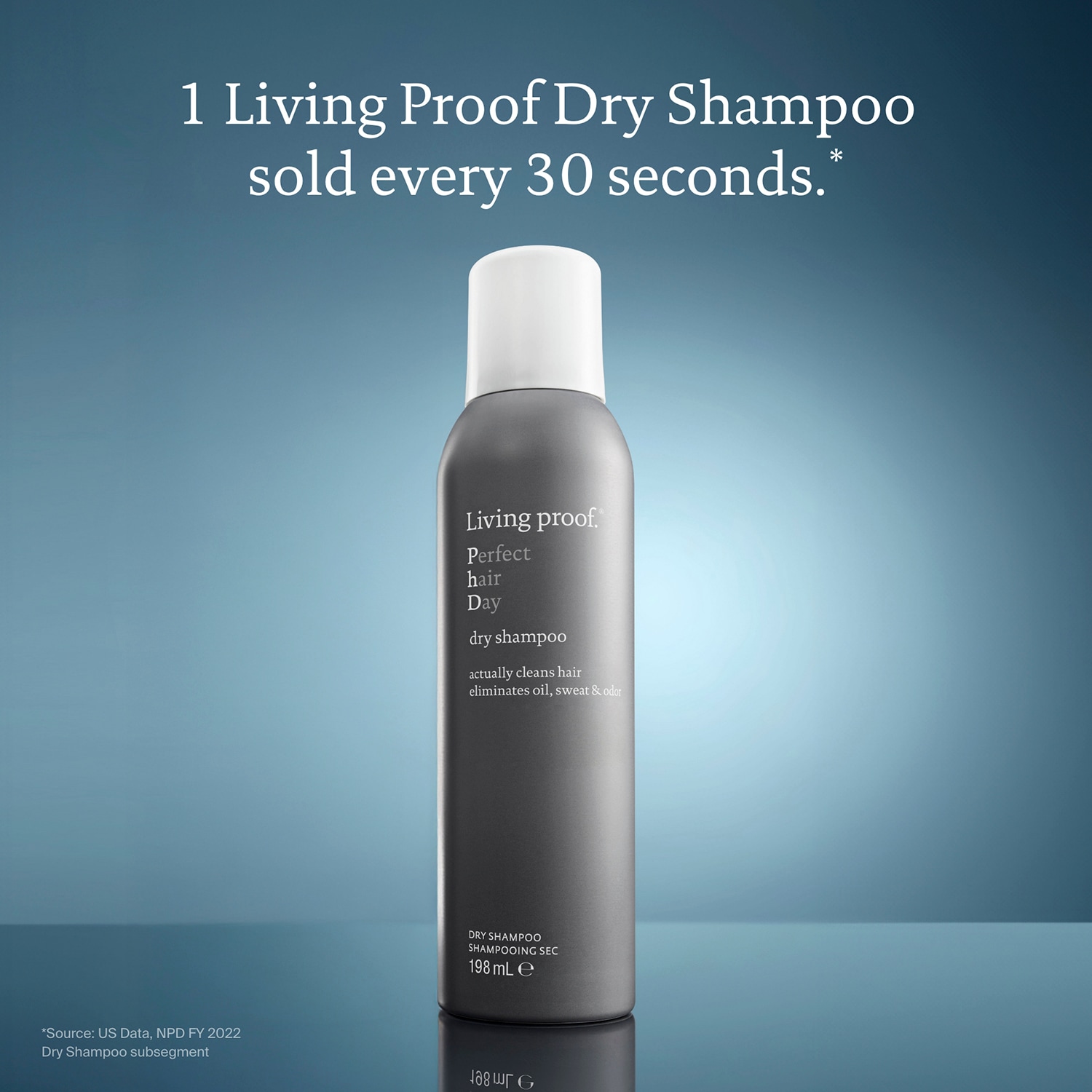 Perfect Hair Day Dry Shampoo
