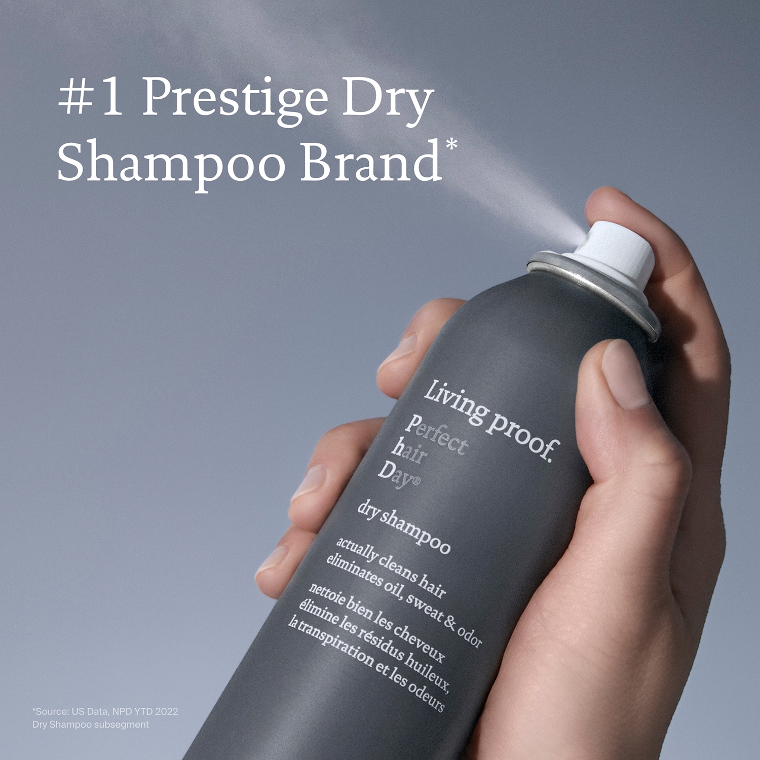 Perfect Hair Day Dry Shampoo
