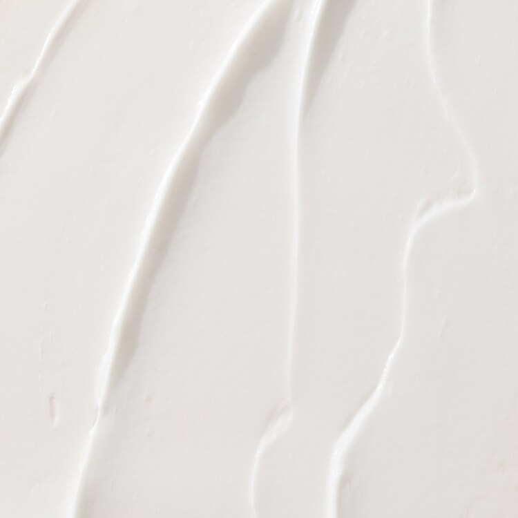 Frizz Conditioner - Balsamo lisciante