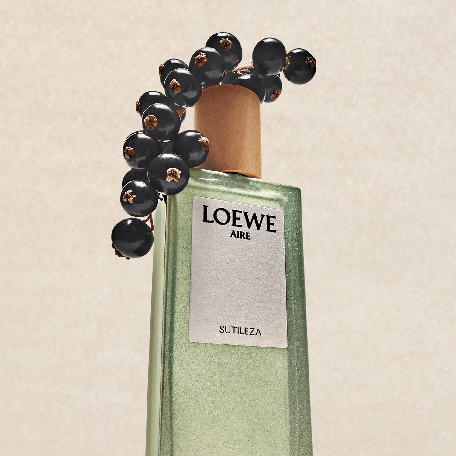 Loewe Aire Sutileza - Eau De Toilette | Loewe ≡ SEPHORA