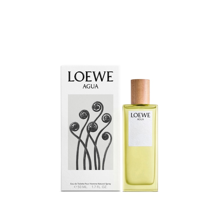 Loewe Agua - Toaletní voda
