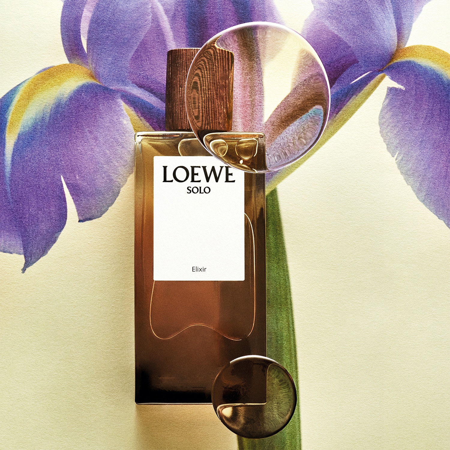 LOEWE SOLO - Elixir | Loewe ≡ SEPHORA