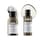 Absolut Repair Molecular - Mini Duo Set