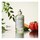 REPLICA From The Garden - Eau de Toilette