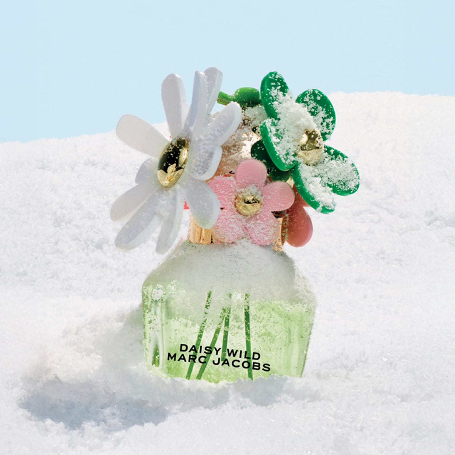 Daisy Wild Eau De Parfum Giftset