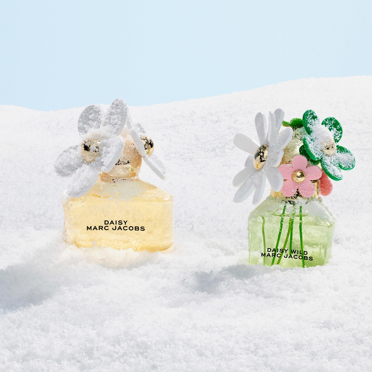 Daisy Wild Eau De Parfum Giftset