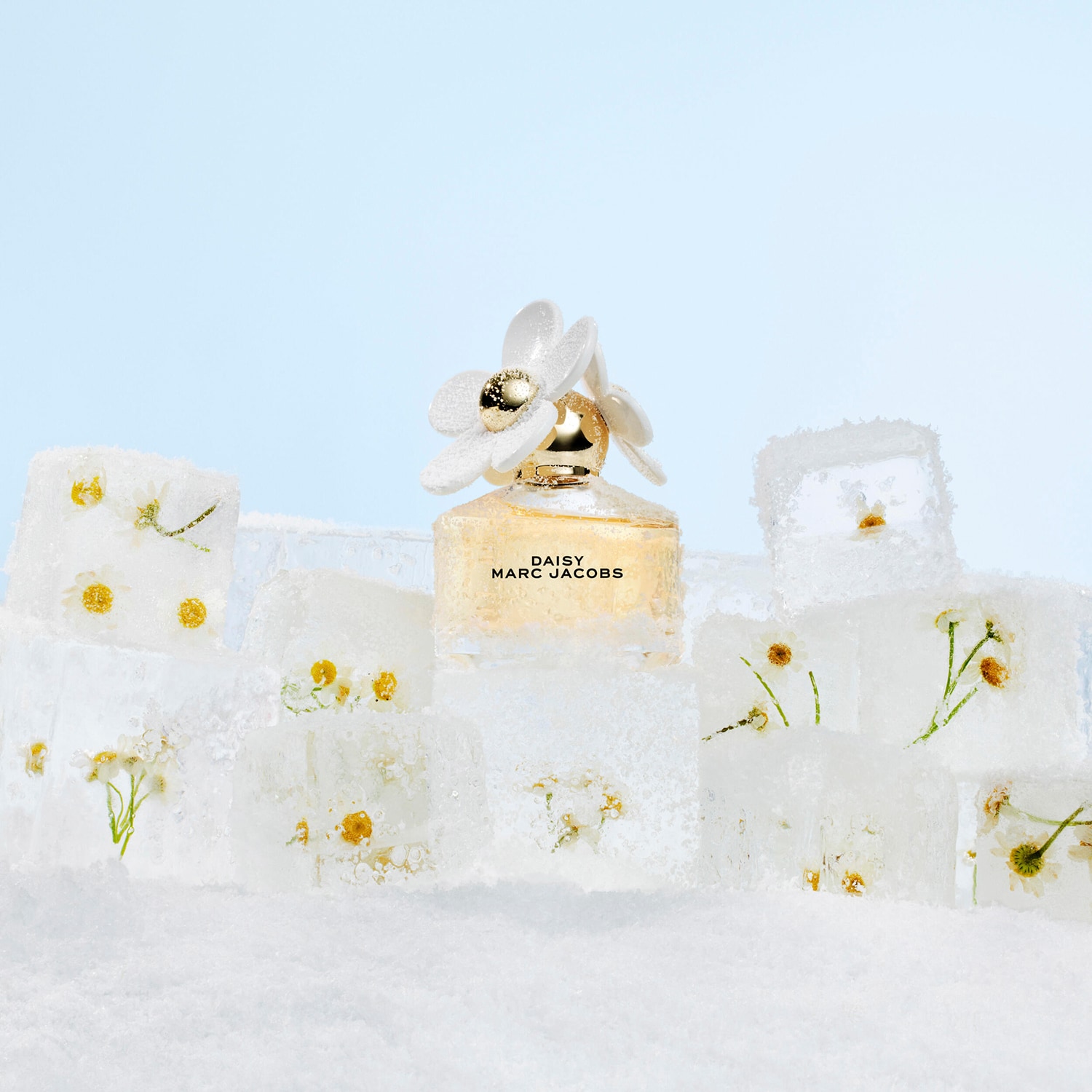 Daisy Fragrance for Women Giftset