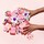 Daisy Pop - Eau de Toilette