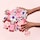 Daisy Love Pop - Eau de Toilette