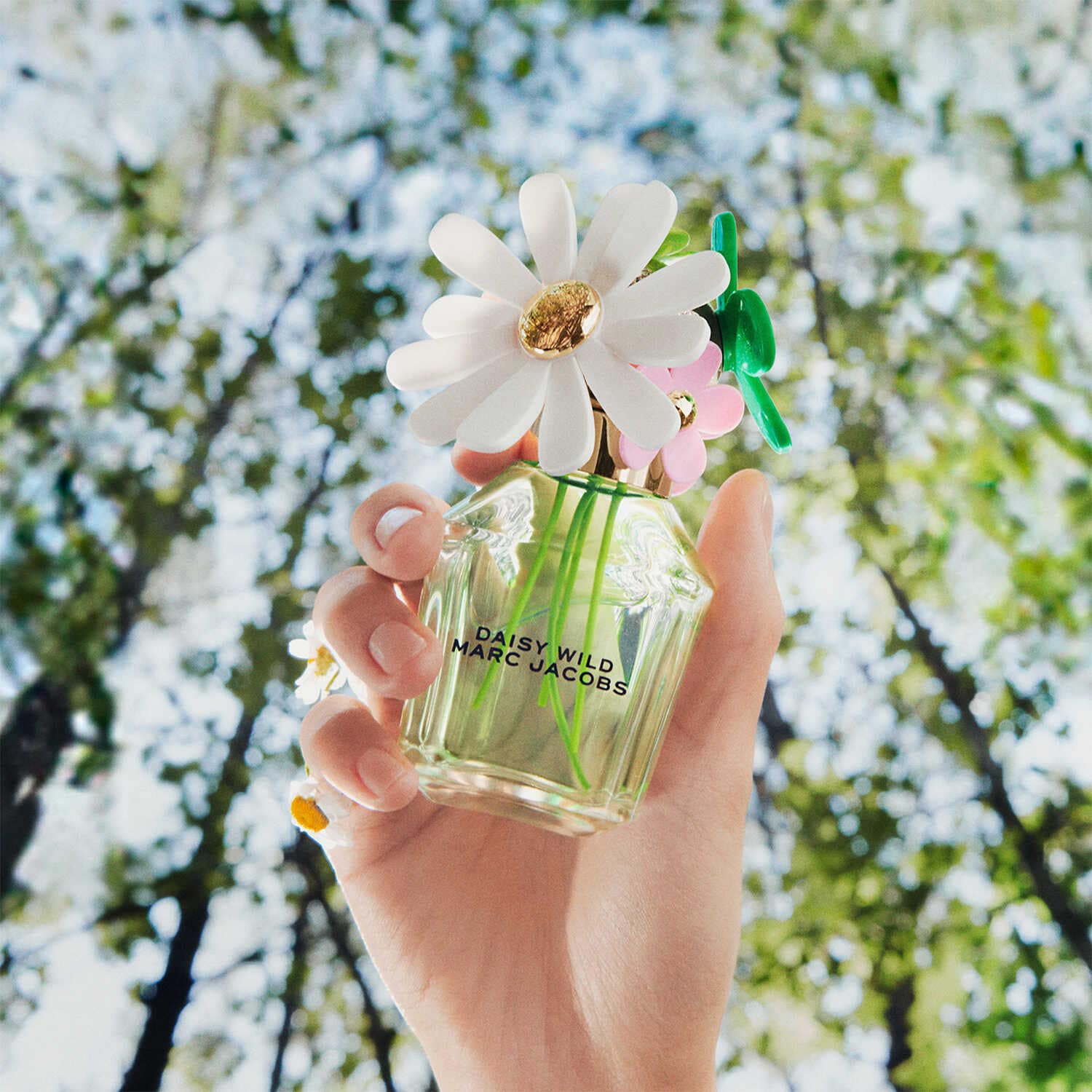 Daisy Wild - Eau de Parfum | Marc Jacobs ≡ SEPHORA