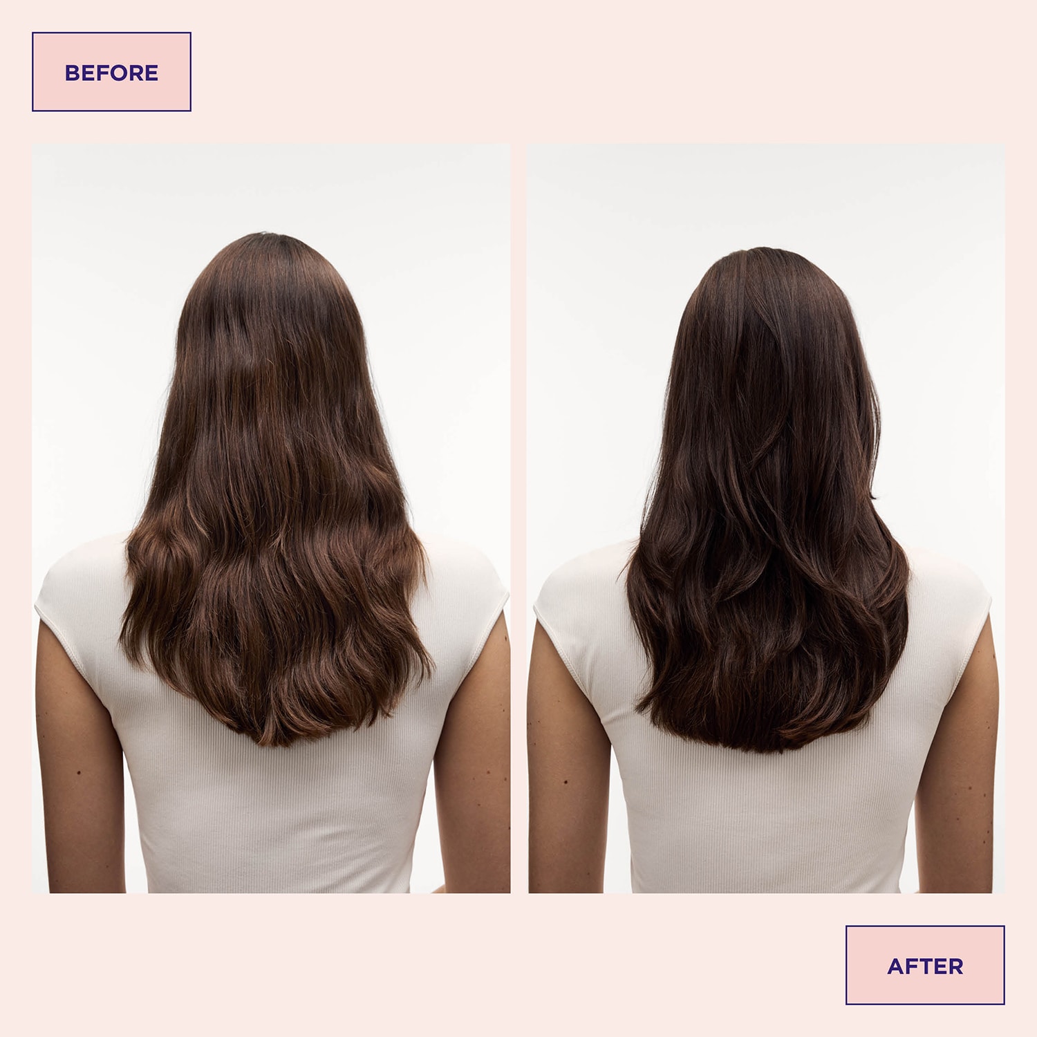 Colour Refresh Cacao