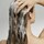 Frizz Control Shampoo - Champú antiencrespamiento