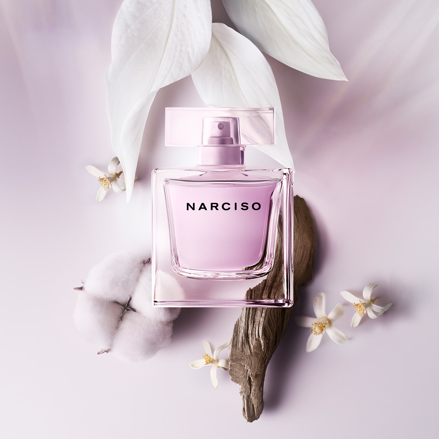 NARCISO Radiant - Eau de Parfum | NARCISO RODRIGUEZ ≡ SEPHORA