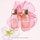 all of me Floral - Eau de Parfum