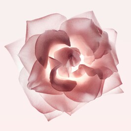 Cristal - Eau de Parfum