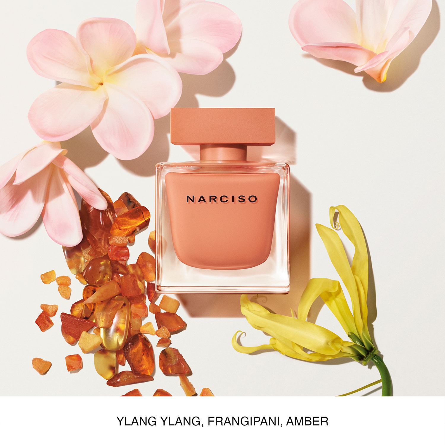 Narciso eau de parfum ambrée