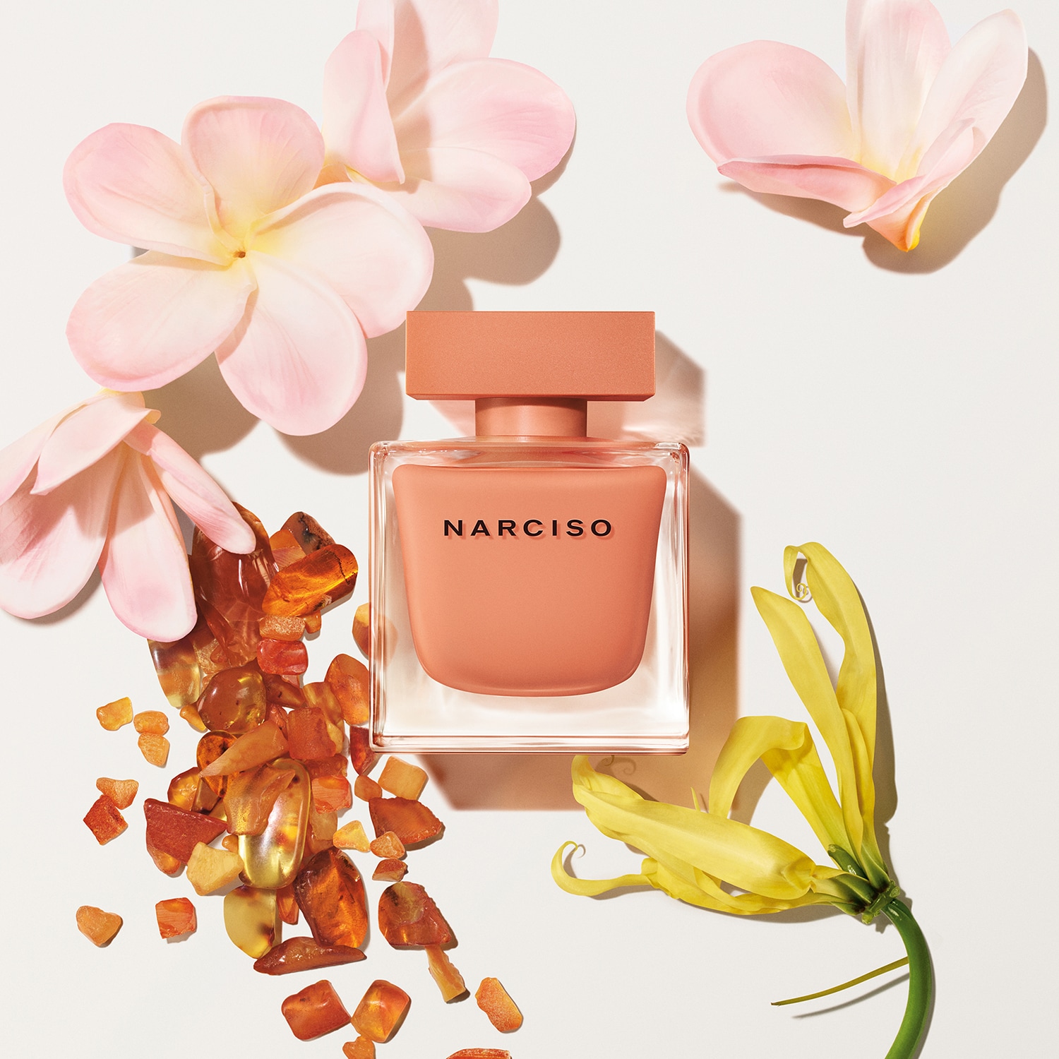 NARCISO Ambrée - Eau de Parfum | Narciso Rodriguez ≡ SEPHORA