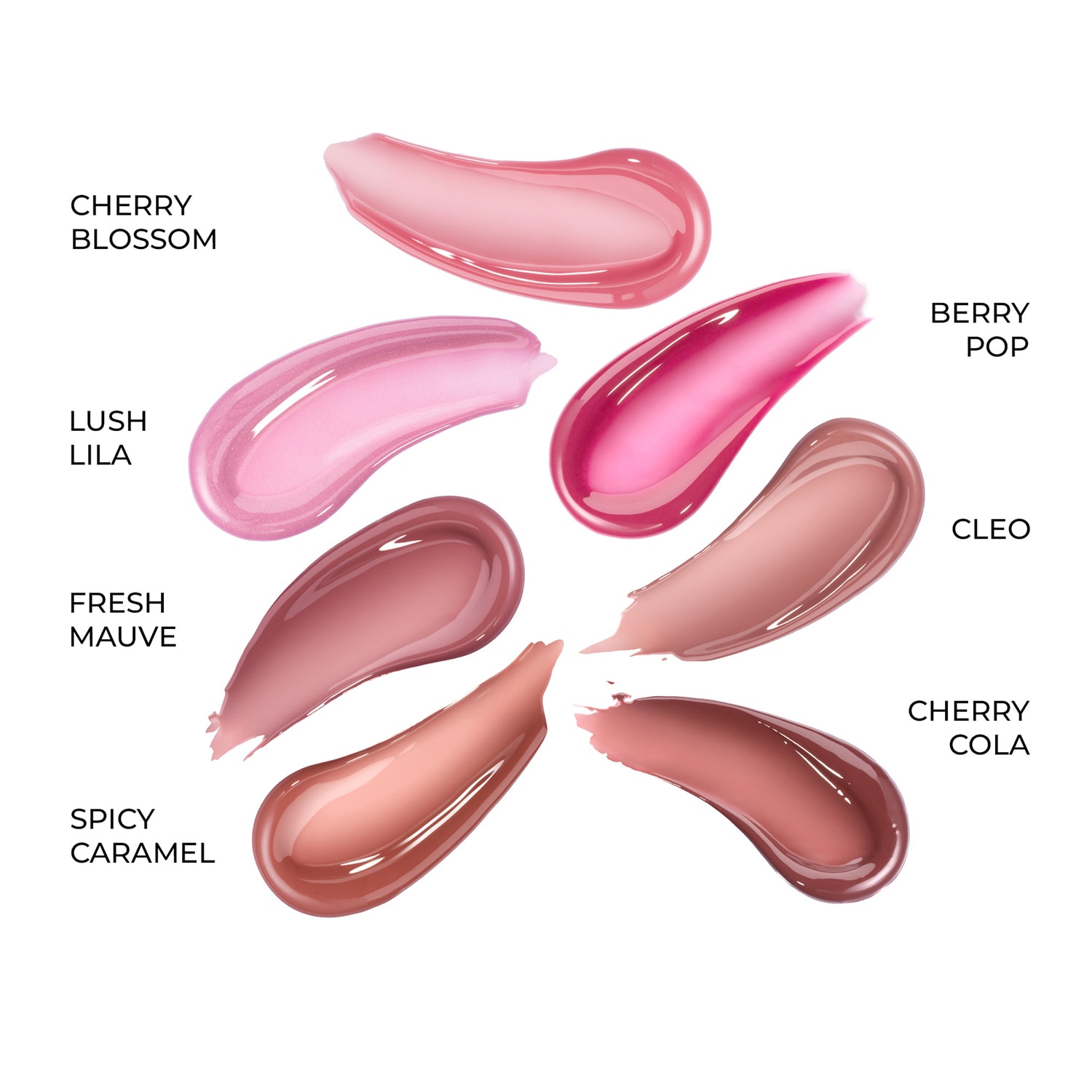HY-GLOSS