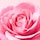 Very rose - Eau micellaire démaquillante apaisante